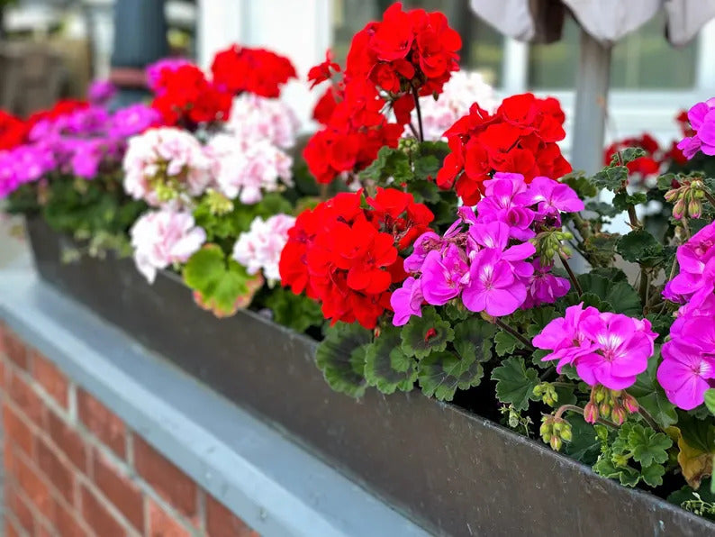 88800c8b-dca6-4001-a3c8-406278f87102