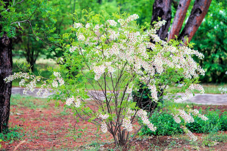 9b424e43-4257-456e-b426-ea1a53775916