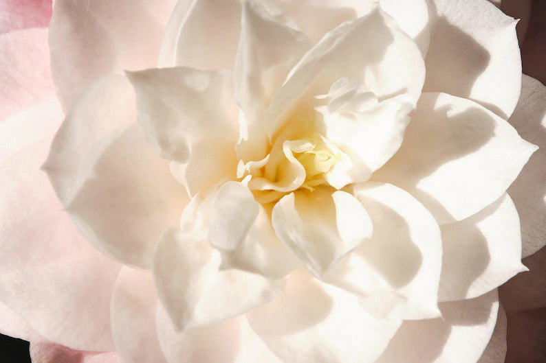 5e8a0c6d-efaf-407f-9abb-043f89614152