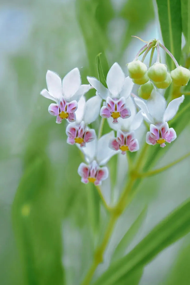 288089e1-db6f-47dc-b8fd-e843532227f5