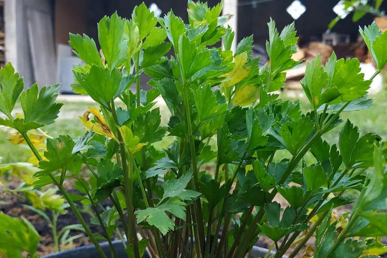 94e8a57a-4932-4c49-8c4f-7ccff5900c6e