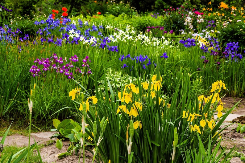 4b71af90-be86-4a6b-97f5-9ed3b9d2c3f4