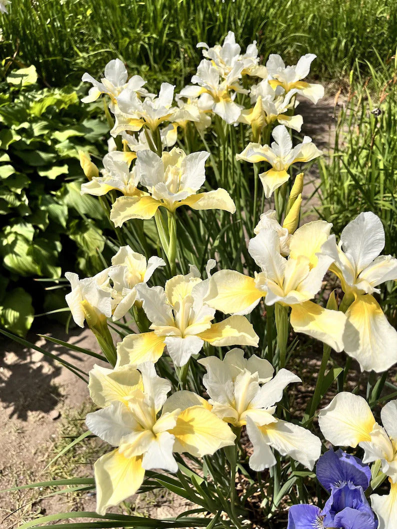 17cd1158-e5d3-462e-8cf7-2ff36bbe5c80