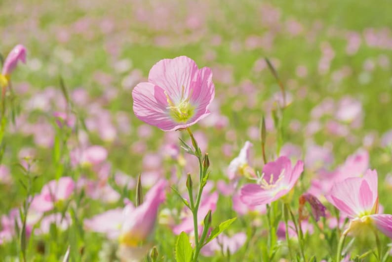 34afa130-aad5-4501-9f69-8226712fb975