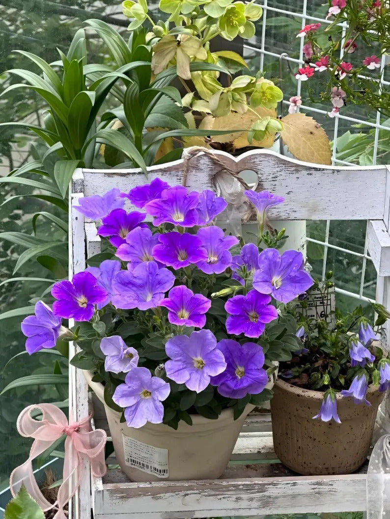 1dfe3950-4280-4061-bcbe-92dfd1f21917