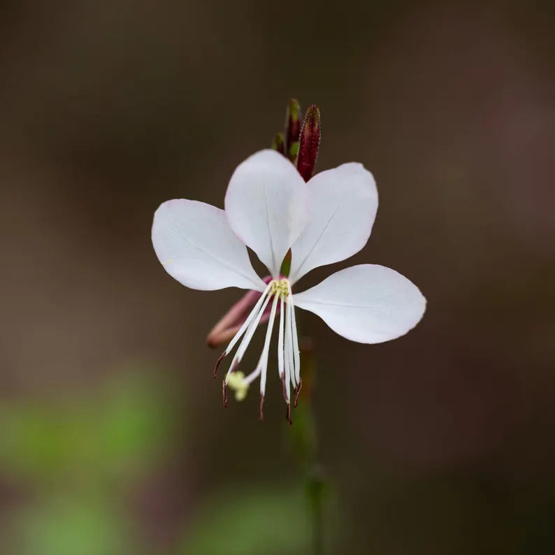 6f794b5c-ccd8-4e56-9b04-f0beafa0772b