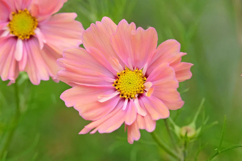 c690d294-3f31-4999-b90f-40d35bec7ea9