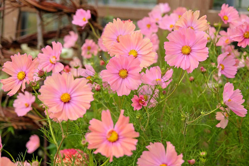 5803f26a-e38c-40c7-9fe3-f542584f62e7