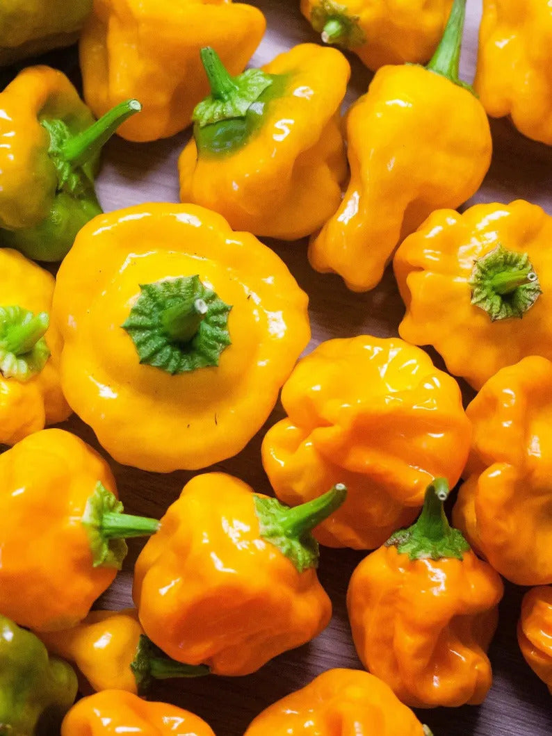 9fad1ede-4e64-4379-8049-33f064a0091b