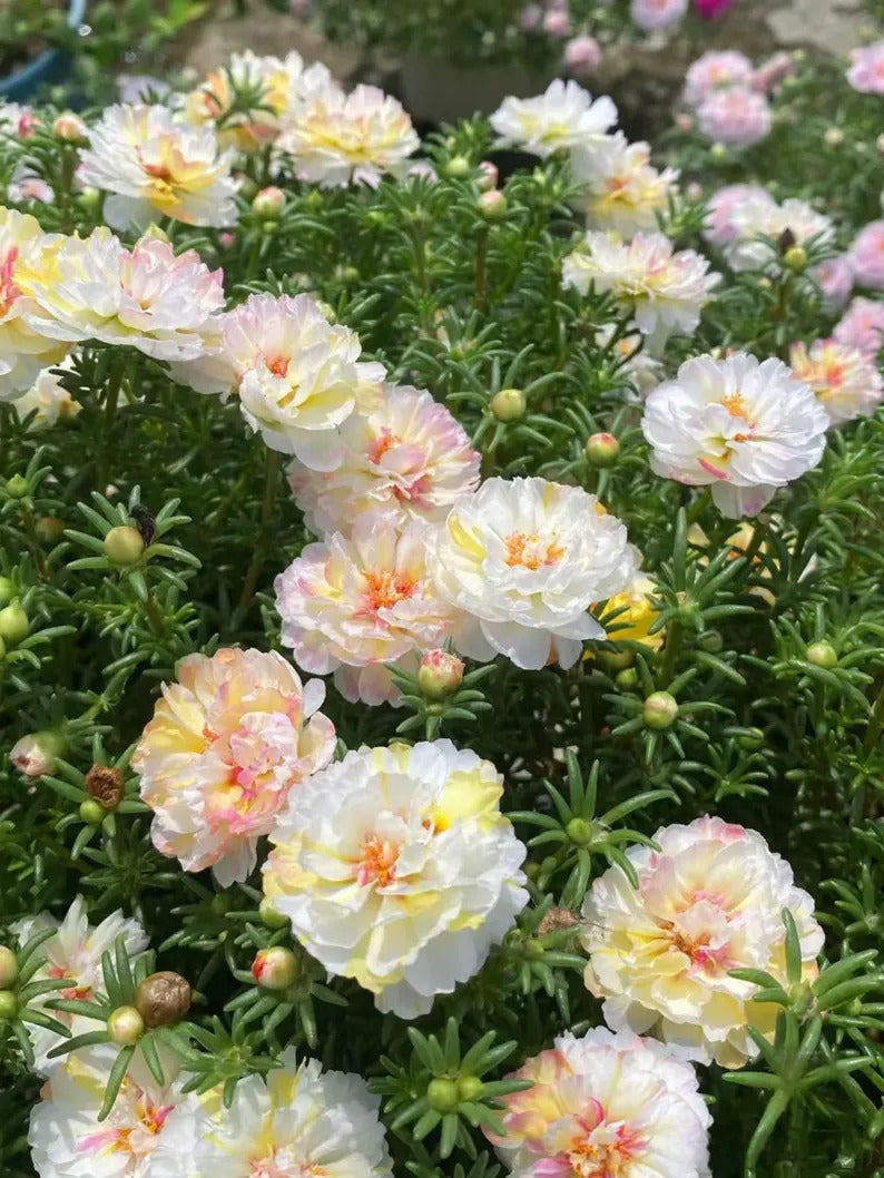 807cf602-2785-4ae3-9d4d-533bf1aeb6fc