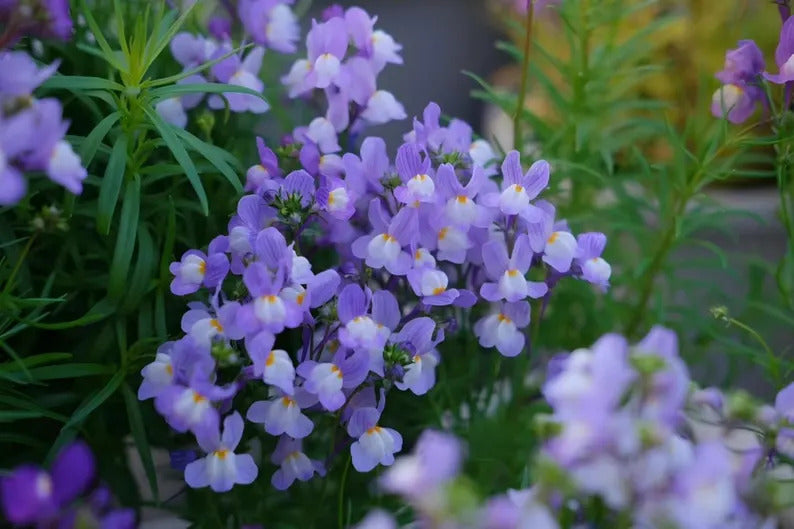 de4db804-52a4-4f74-a160-0be89026cb9f