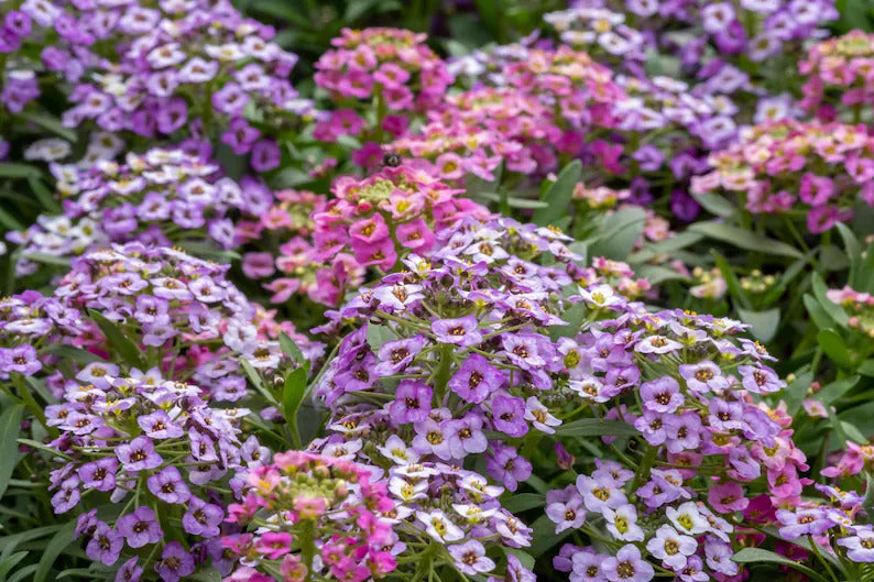 b36bd36f-90dd-4669-a3ff-5478a3b486ec