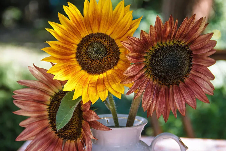 af45a521-aeee-4981-82d7-04bd2bdc75dc