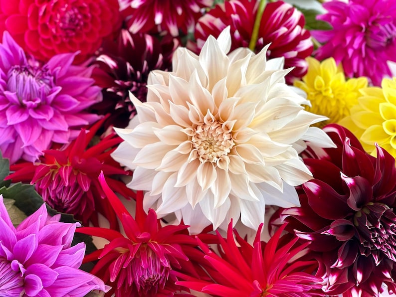 6411022e-65d3-41fa-9080-011f23833260