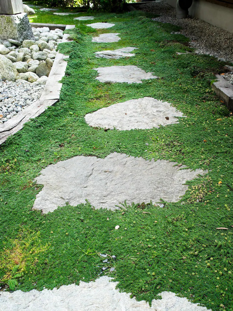 48b57c27-961e-4df1-aeac-7222a53f1373