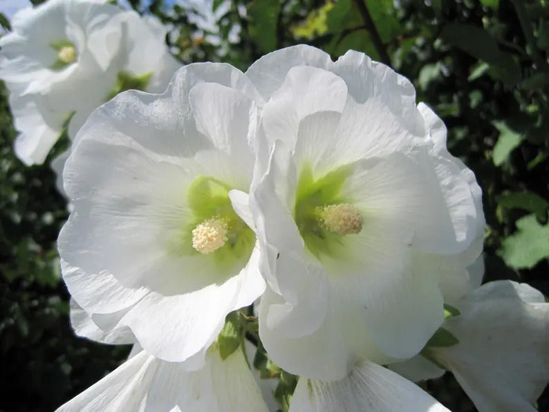 6e696ef2-2c95-4ebe-9814-c3153ae32b5e