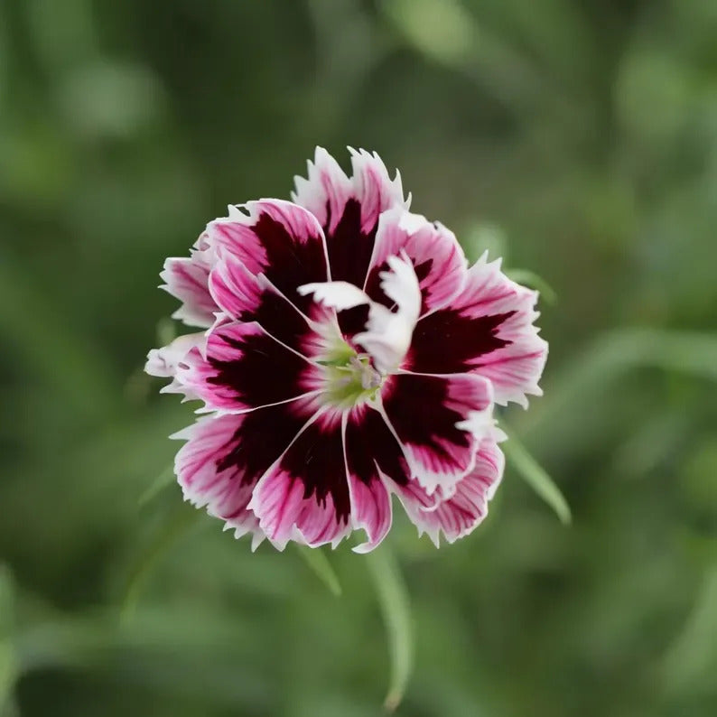 a8a302a5-c2b5-43ff-a0ad-ec33034d4e64