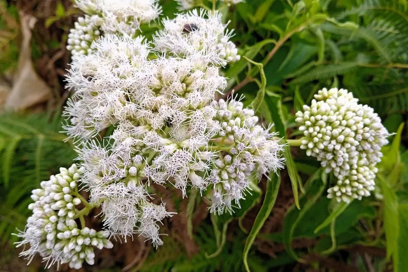 a8d70587-f71d-45fd-a55c-518f6fb51514