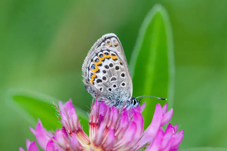 77908644-cc80-4353-b3f4-6abaf04ac980