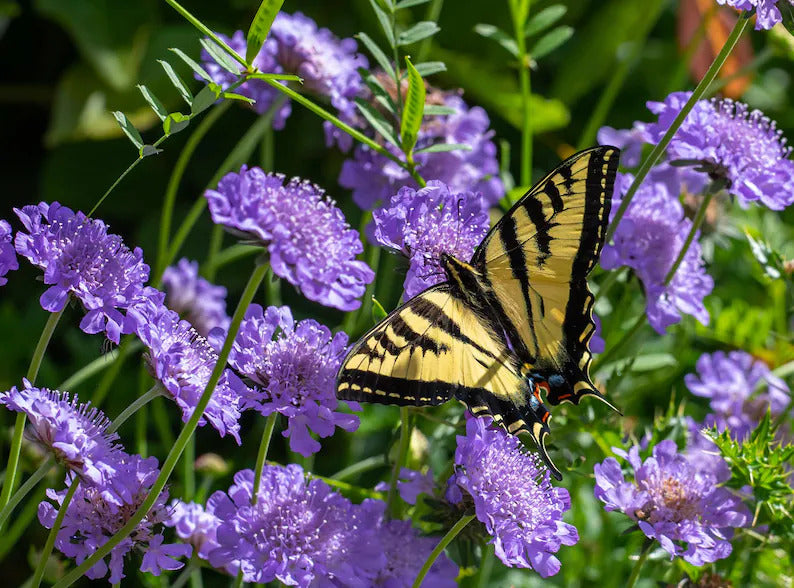 e3b662f6-5808-42c2-be52-a952d2ab8b5a