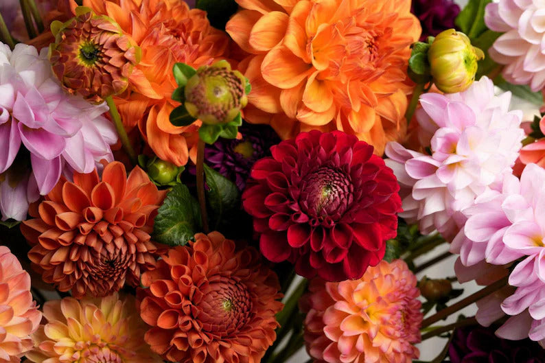 dbaf3e16-54cc-482d-9357-03c126ab1117