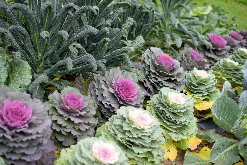 b970410a-2da7-4dac-b4ab-2cc3ef922f40