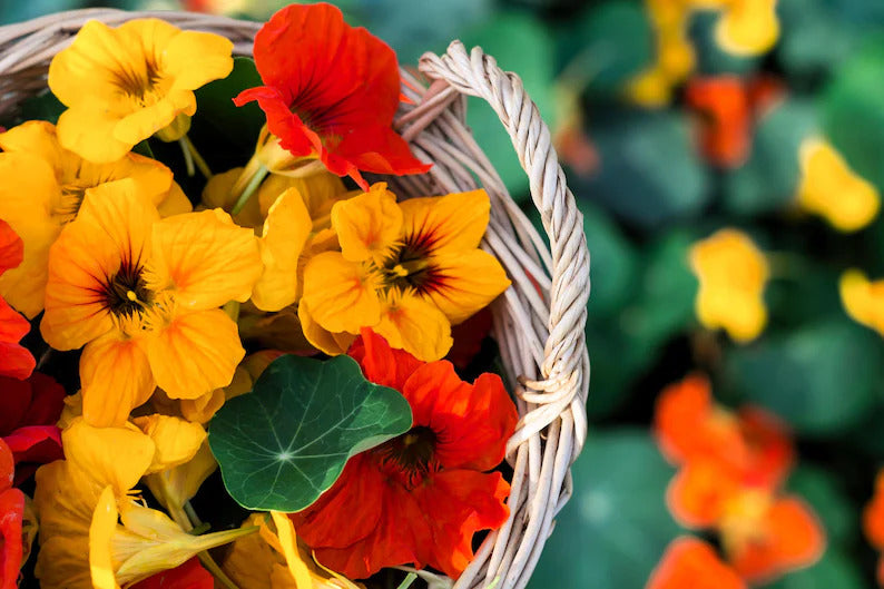 c53e487d-756f-4e23-ad08-881e5b01a65f