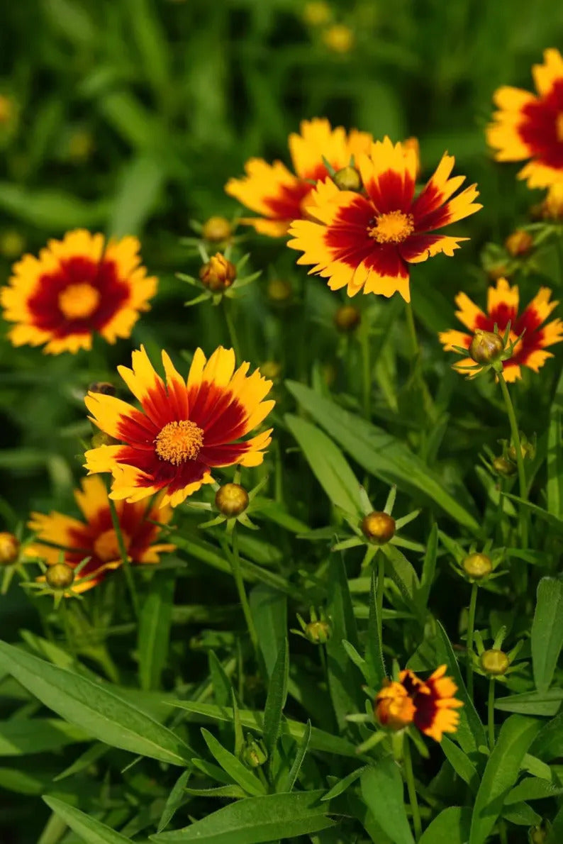 7f123b8c-7952-45ca-9c80-9fe2d8fee8bb