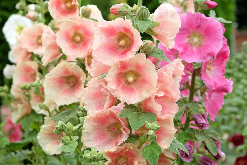 d77d83b0-2c2c-4261-940d-1166a506bc55