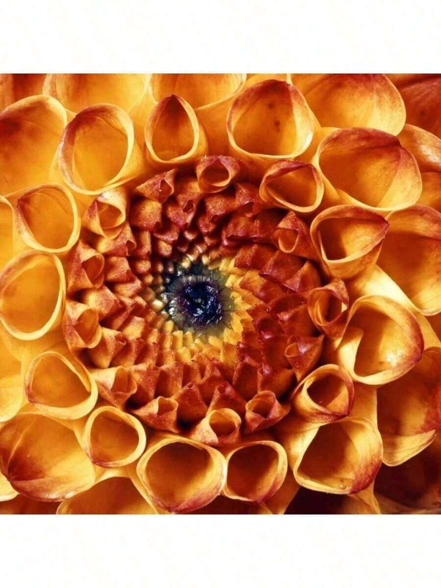 e3a29975-17ae-4c59-b026-27ac7543bb5a