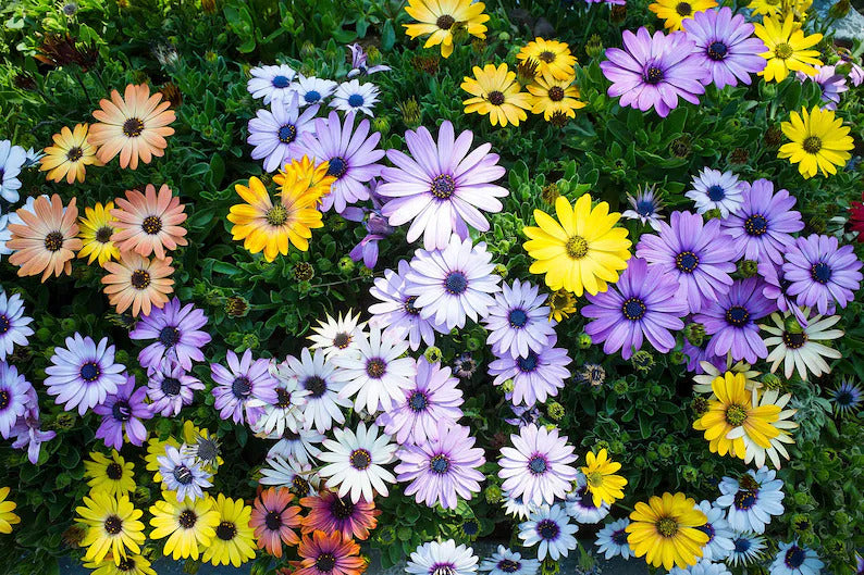 c1d0c940-475b-4077-983c-de05ea8cc519