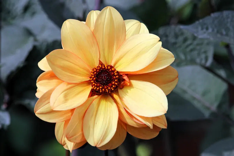 a3f4f58f-b315-49b6-9d06-138446d4043f