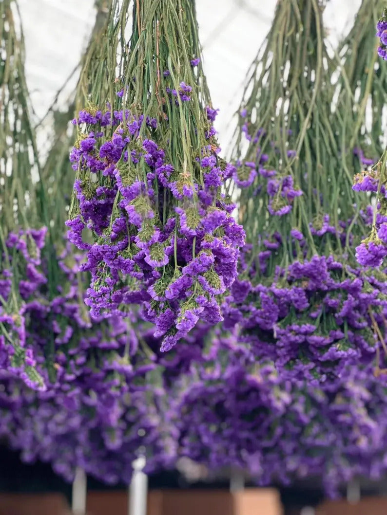 1a761818-5013-4849-8bec-e5ea3dc7c627