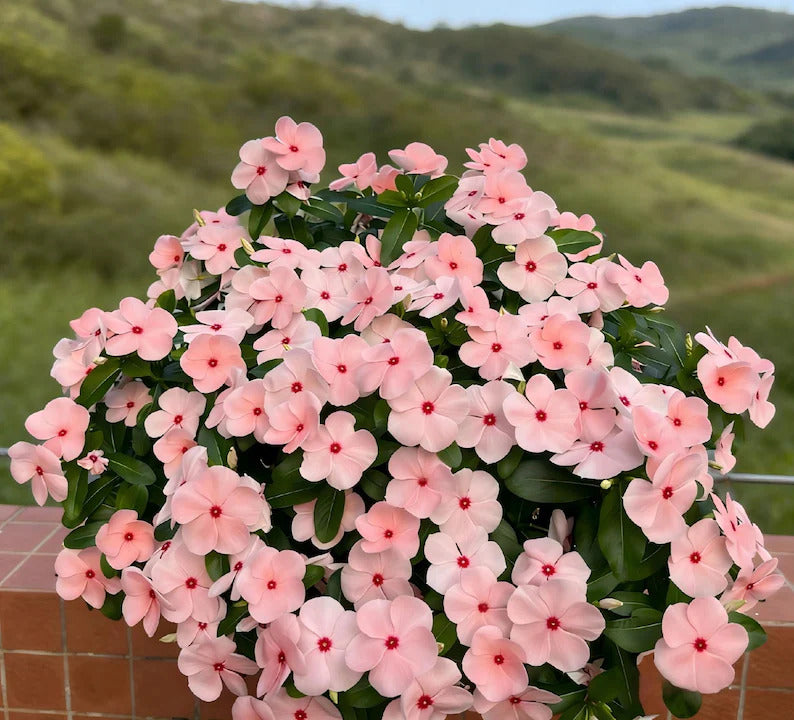 1633cd49-6f57-4bf7-a788-047c9356b59d