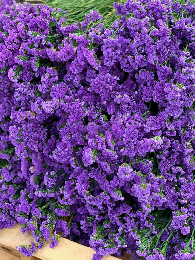 cbca1a6b-0884-458f-b3b1-1e0846396039