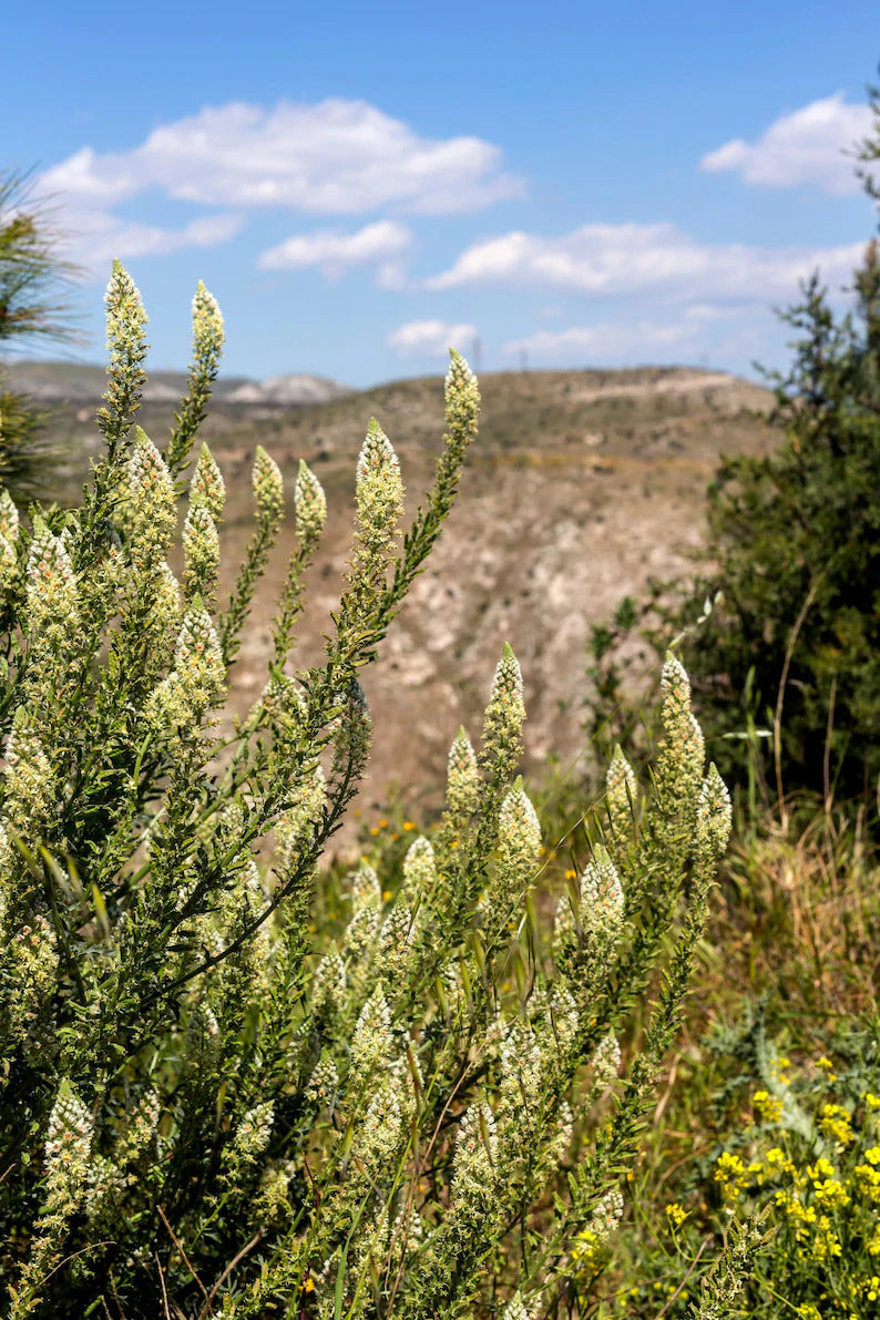 aa8542f3-8112-4740-8cf4-6832f1a4205f