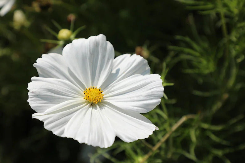 1c696f04-6bb5-444a-be4b-722dfa06661b