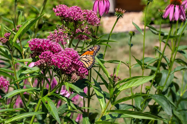 9a0cb260-944c-4517-9044-edd9847b1dfe