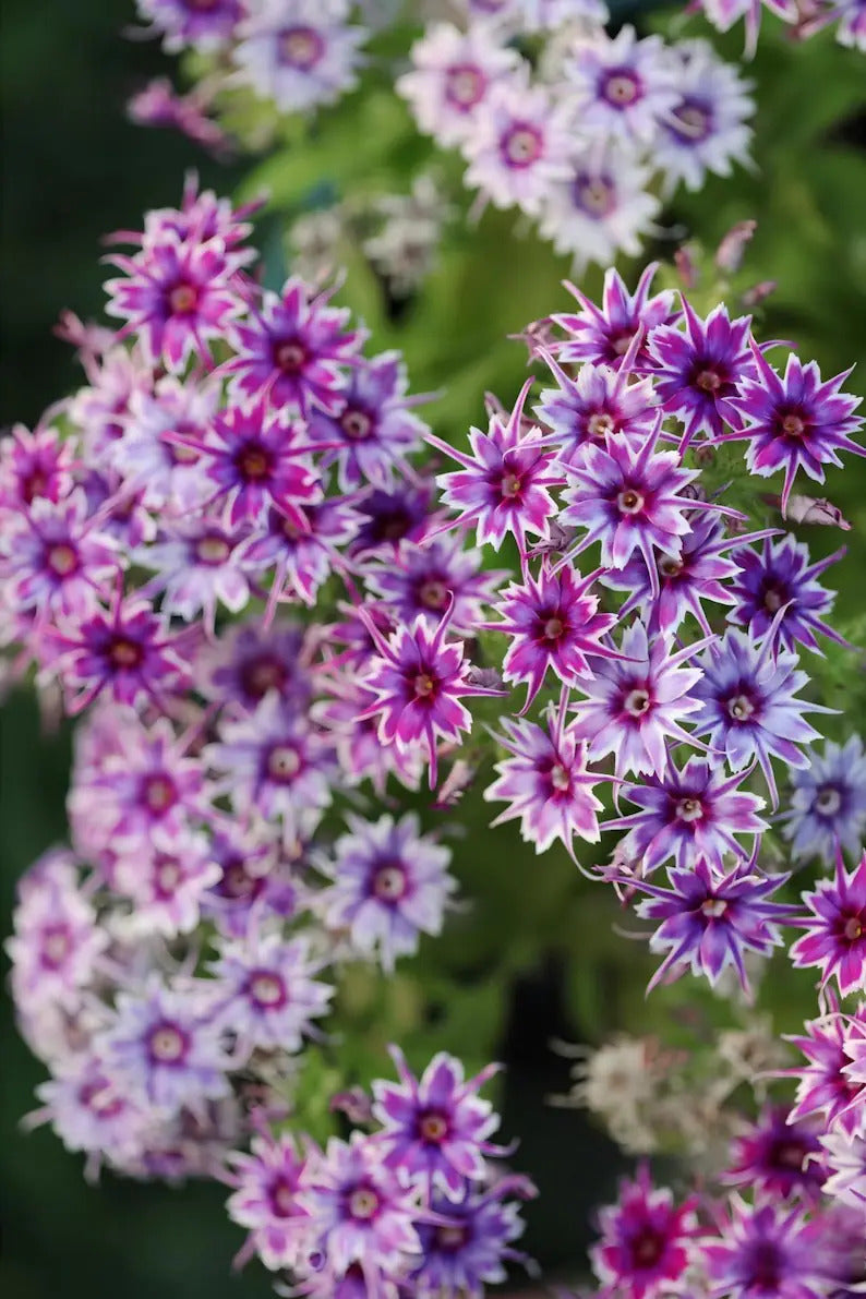 510e60ba-a495-487d-bfb3-6d46b226ff43