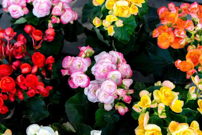 bd436165-37d1-4b54-8e58-7f028d850433