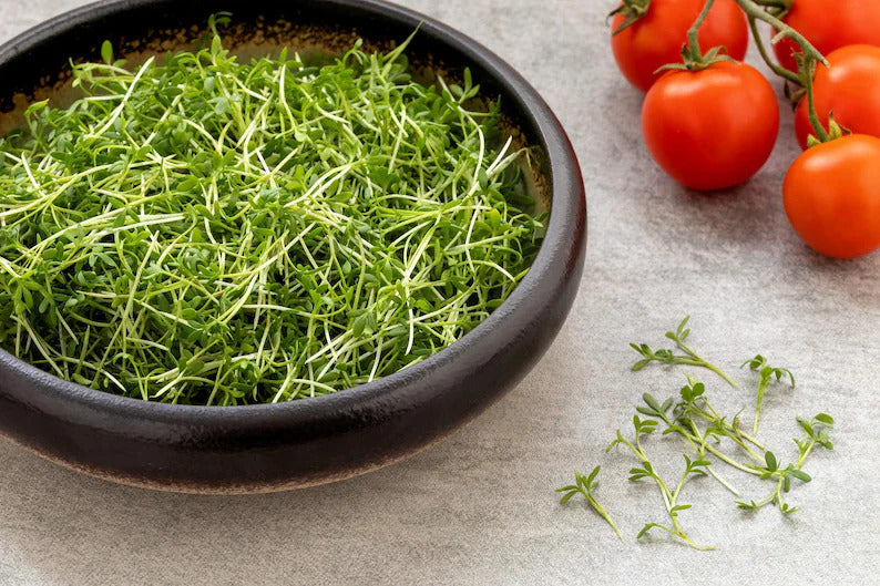 fc1b00c4-d4e2-49c7-a6f0-c94e03166e0b