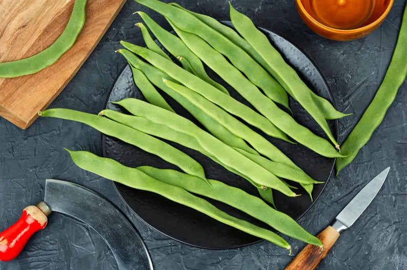 124911a0-1cc3-4721-820e-ac3204eccb20