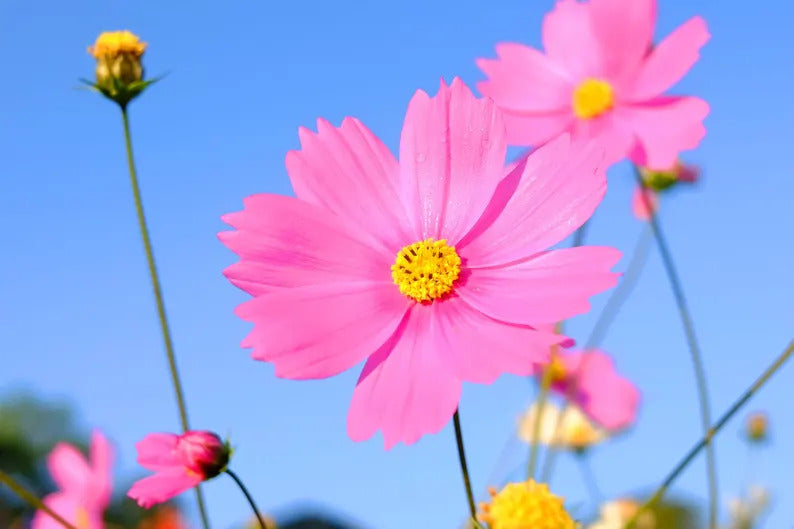 6629be9a-b309-4880-8215-f5d60192f79e