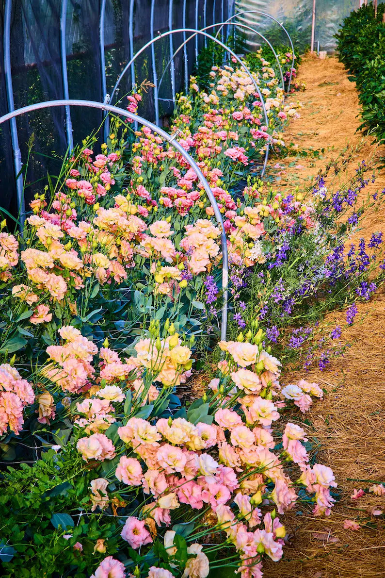 29bbd1ae-770d-4976-b2eb-c57923bb362a