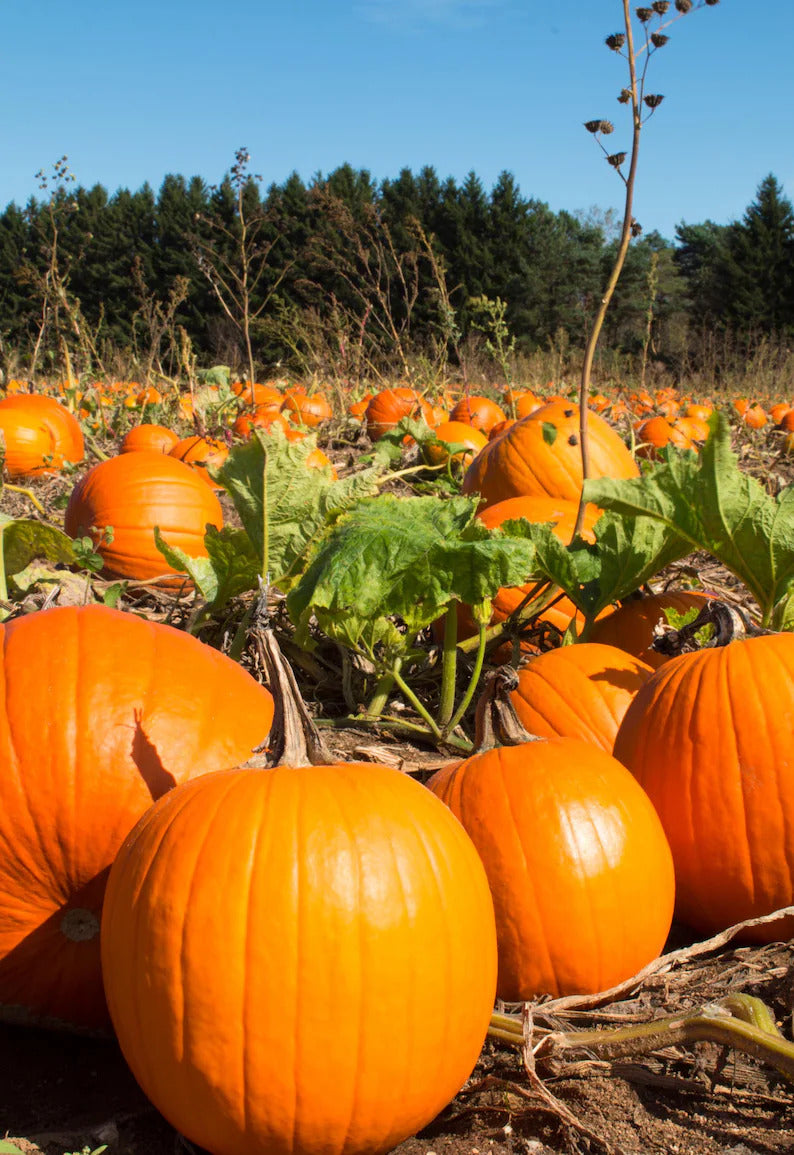 967add16-4bf6-4d66-98f9-25c6f86d4b7e