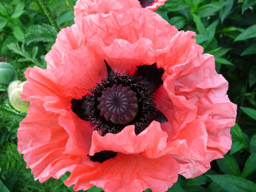 6ddeedba-6a10-4e00-a34e-ca38e95663b3