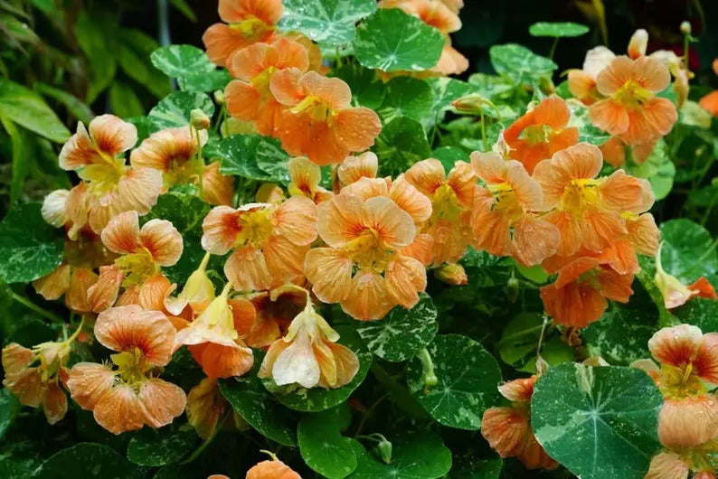 72d3bff8-336e-4e1c-91ef-578d2c797717