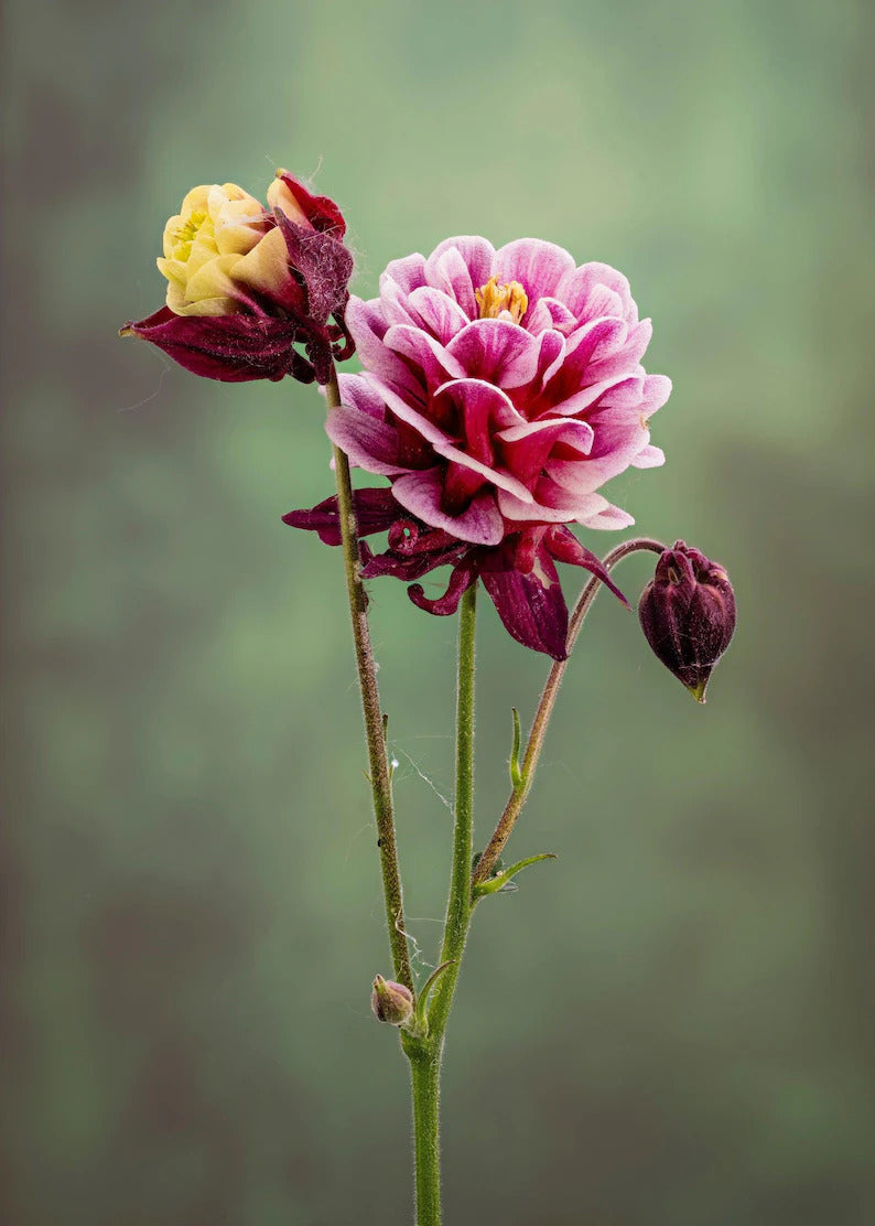 e85791f3-bd62-43e8-a788-1c9b8443e3e4