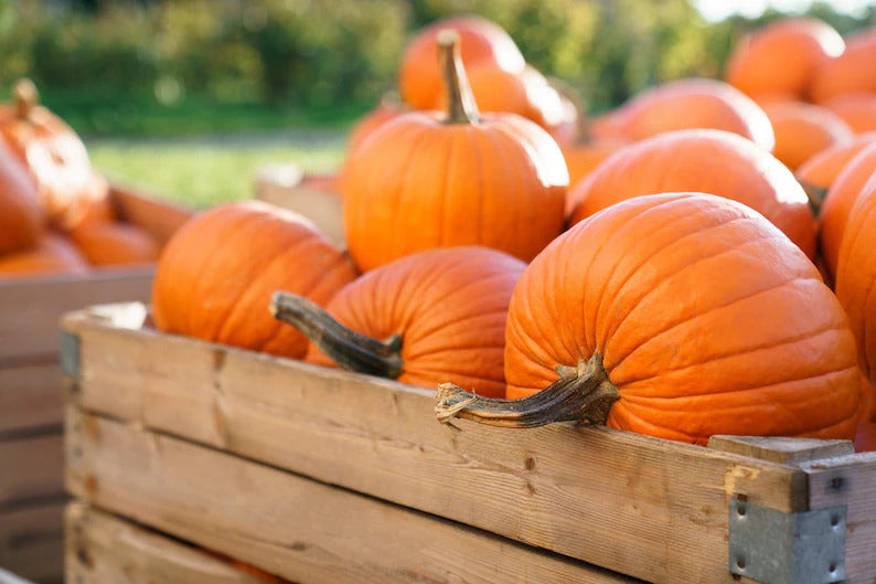 3e543847-ad4f-4e7d-99cb-257ceeb327f3