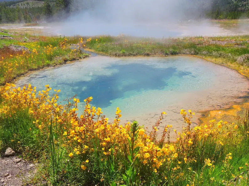 154dd6aa-7780-4b89-92e1-746fa6d81f6c